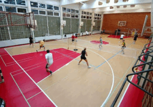 Badminton Virus