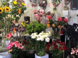 FlowerPower