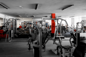 The Muscle Makers