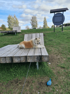 Zoohotel